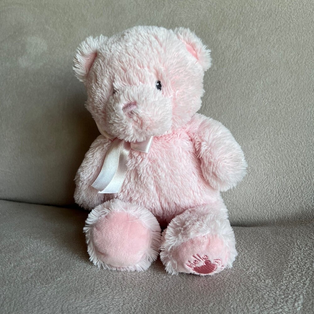 Baby Gund My First Teddy Pink Bear Soft Plush Stuffed Animal 11" Embroidered T5